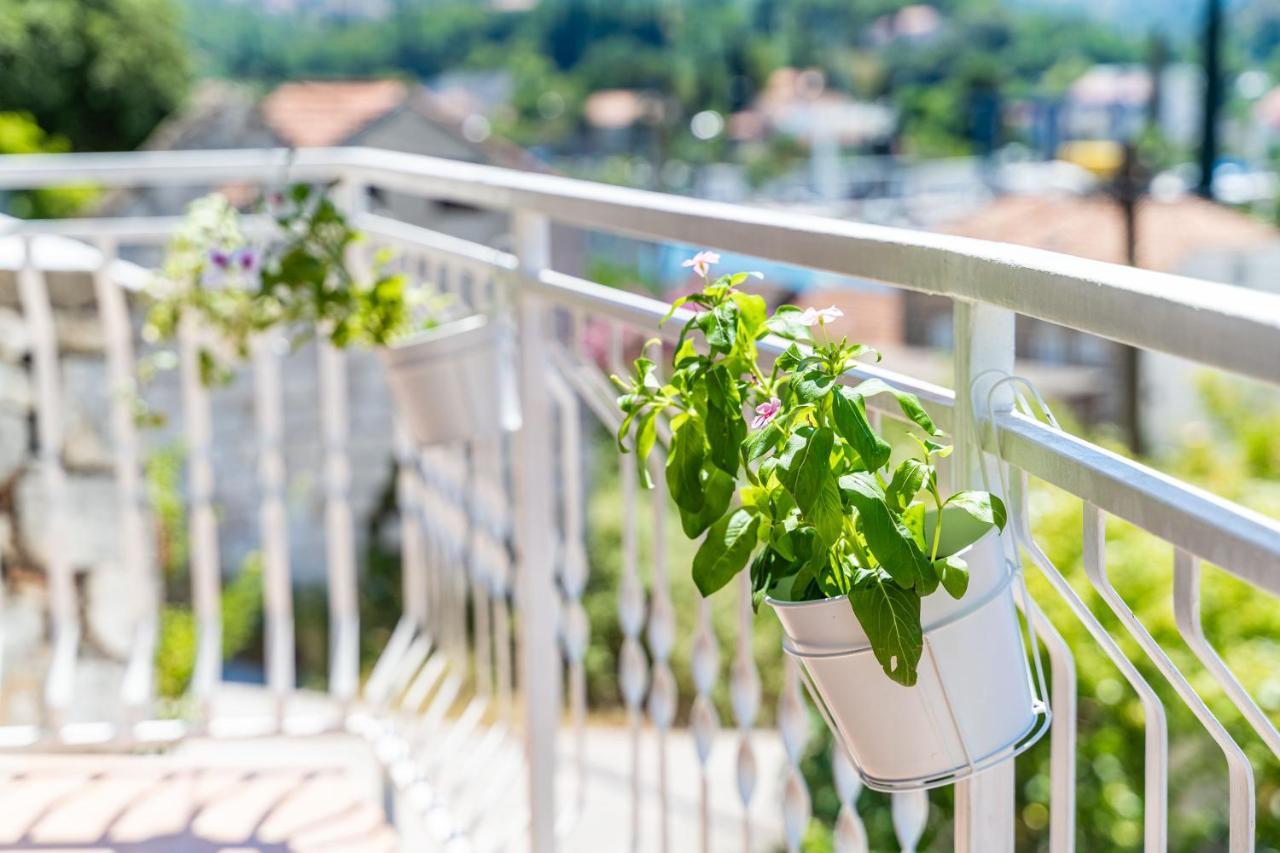 Apartment House Of Artichoke With Amazing Sea View, Dubrovnik Mokošica Eksteriør bilde