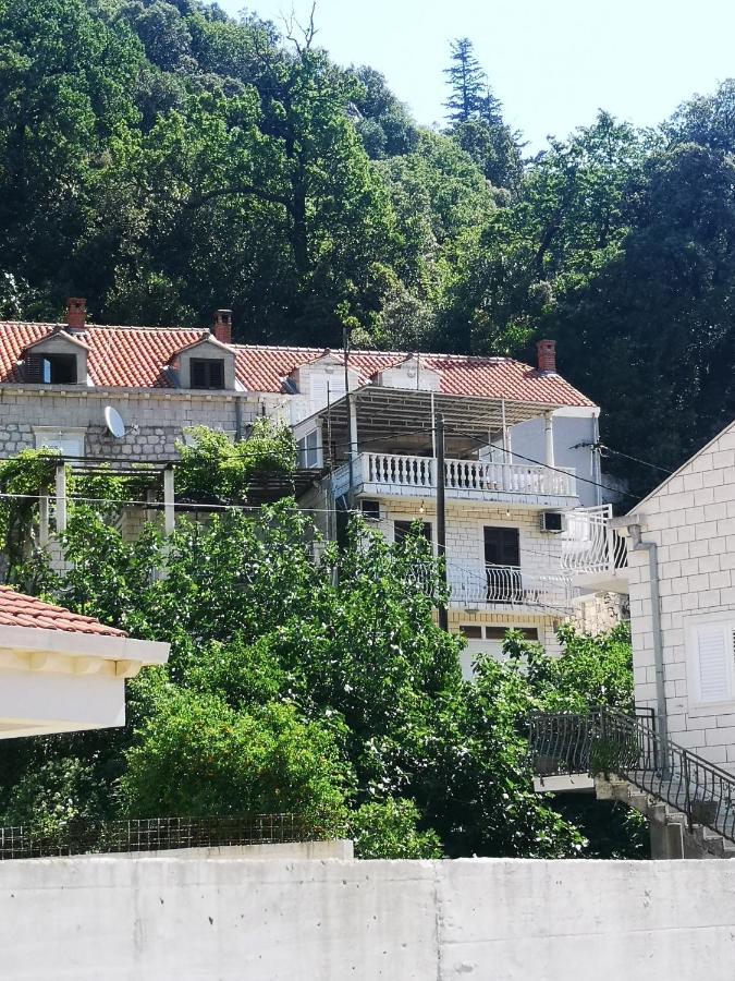 Apartment House Of Artichoke With Amazing Sea View, Dubrovnik Mokošica Eksteriør bilde