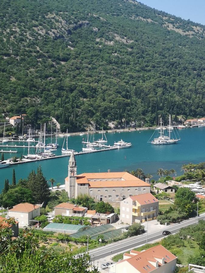 Apartment House Of Artichoke With Amazing Sea View, Dubrovnik Mokošica Eksteriør bilde