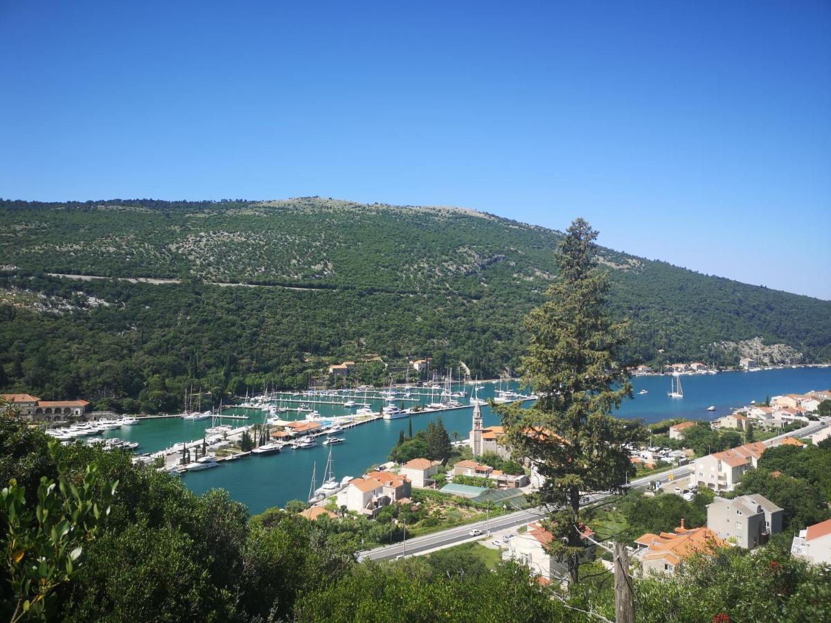 Apartment House Of Artichoke With Amazing Sea View, Dubrovnik Mokošica Eksteriør bilde